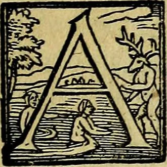 An illustration from XII primorvm Caesarvm et LXIIII. Ipsorvm vxorvm et parentum ex antiquis numismatibus, in aere incisae, effigies: atque eorundem earundemque vitae & res gestae, ex varijs authoribus, 1597, leaf 16