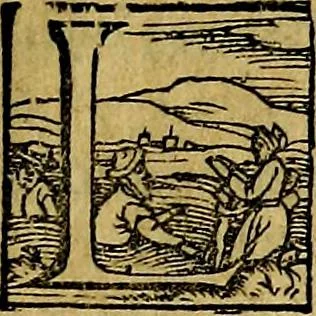 An illustration from XII primorvm Caesarvm et LXIIII. Ipsorvm vxorvm et parentum ex antiquis numismatibus, in aere incisae, effigies: atque eorundem earundemque vitae & res gestae, ex varijs authoribus, 1597, leaf 168
