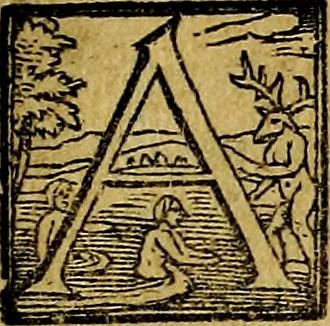An illustration from XII primorvm Caesarvm et LXIIII. Ipsorvm vxorvm et parentum ex antiquis numismatibus, in aere incisae, effigies: atque eorundem earundemque vitae & res gestae, ex varijs authoribus, 1597, leaf 172