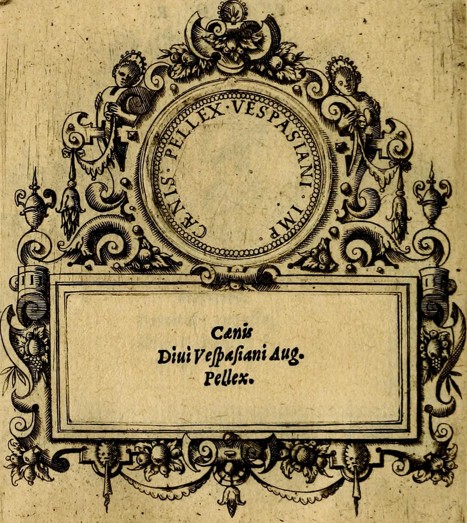 An illustration from XII primorvm Caesarvm et LXIIII. Ipsorvm vxorvm et parentum ex antiquis numismatibus, in aere incisae, effigies: atque eorundem earundemque vitae & res gestae, ex varijs authoribus, 1597, leaf 189