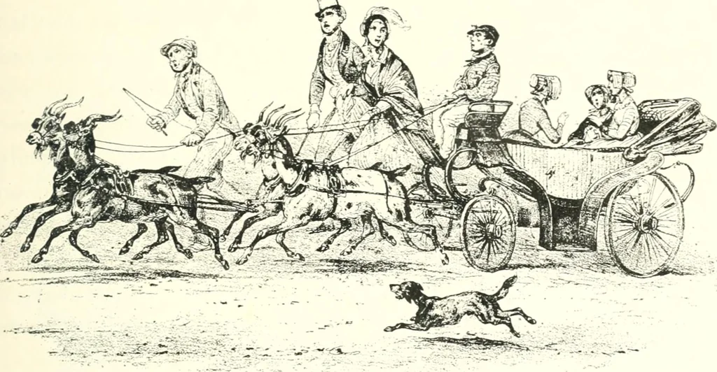 An illustration from XIXe [i.e. Dix-neuvième] siècle (en France); classes - moeurs - usages - costumes - inventions. Ouvrage illustré d'un front. chromotypographique, de 16 planches coloriées aux patrons, de 36 entetes et lettres ornées et de 487 gravures (dont 24 tirées hors texte) d'après les principaux artistes du siècle, 1893, leaf 268