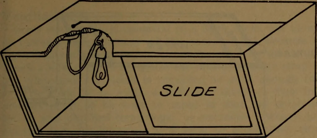 An illustration from X-ray manual : U.S. Army, 1917, leaf 118
