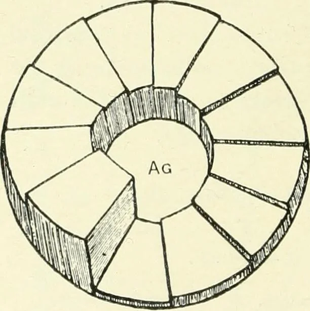 An illustration from X rays, an introduction to the study of Röntgen rays, 1914, leaf 127