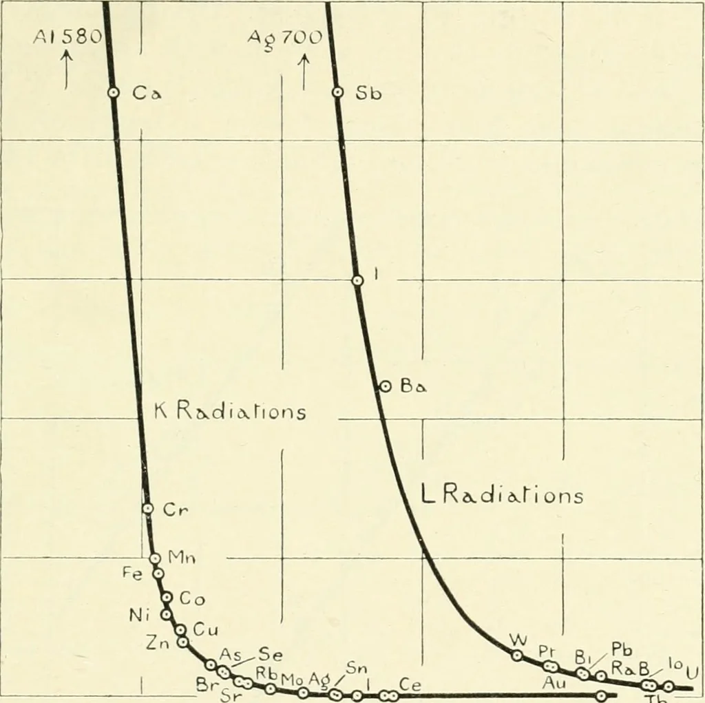 An illustration from X rays, an introduction to the study of Röntgen rays, 1914, leaf 136