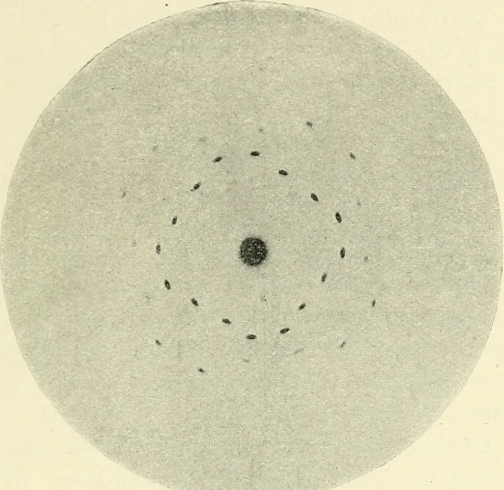 An illustration from X rays, an introduction to the study of Röntgen rays, 1914, leaf 196