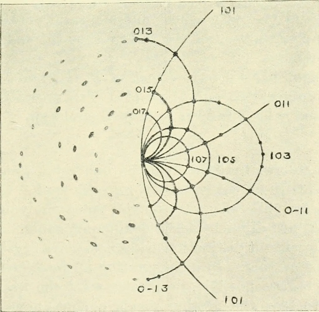 An illustration from X rays, an introduction to the study of Röntgen rays, 1914, leaf 196