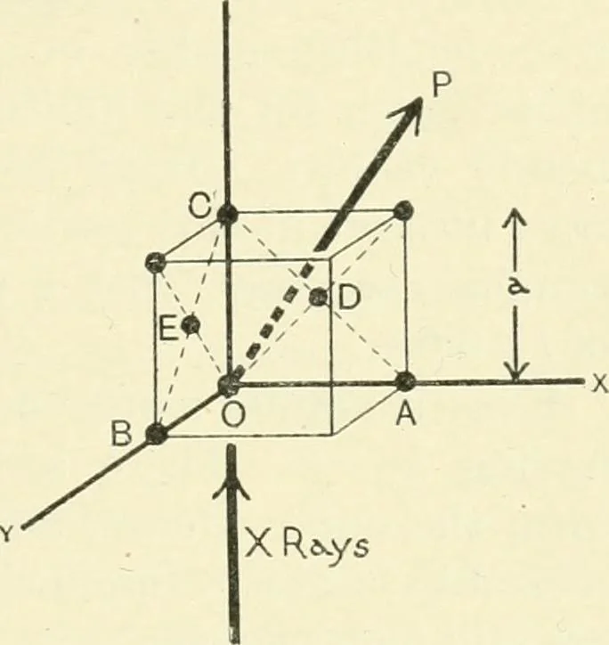 An illustration from X rays, an introduction to the study of Röntgen rays, 1914, leaf 200