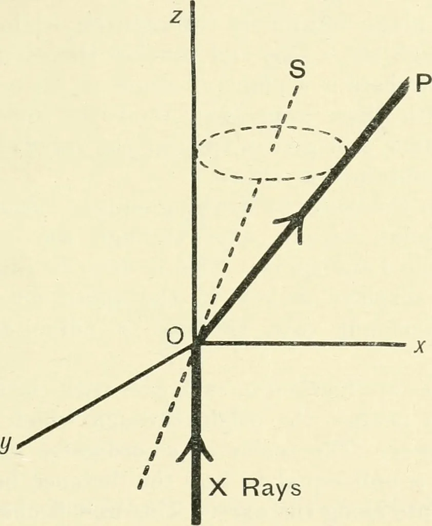 An illustration from X rays, an introduction to the study of Röntgen rays, 1914, leaf 204