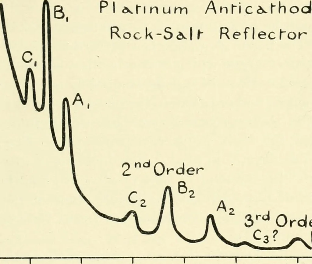 An illustration from X rays, an introduction to the study of Röntgen rays, 1914, leaf 212