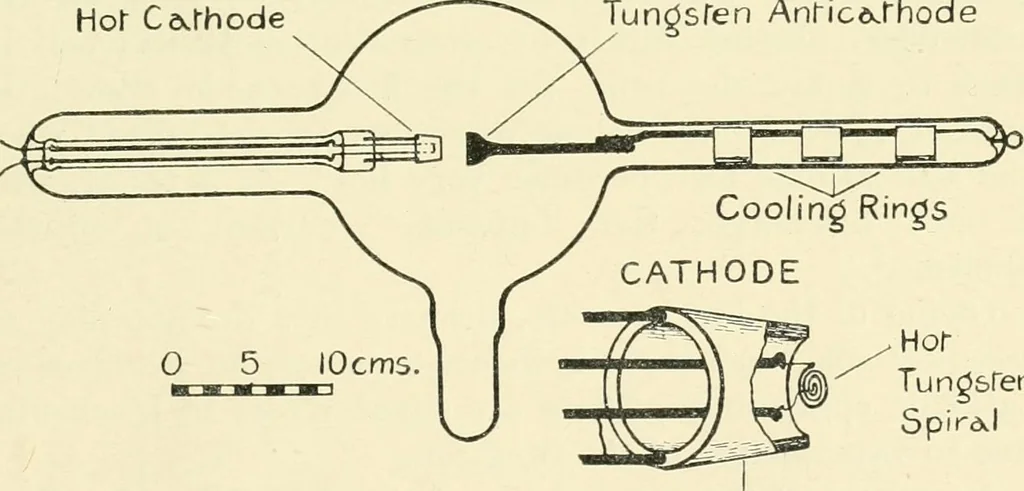 An illustration from X rays, an introduction to the study of Röntgen rays, 1914, leaf 242