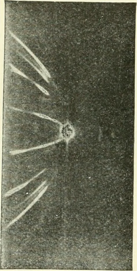 An illustration from X rays, an introduction to the study of Röntgen rays, 1914, leaf 45