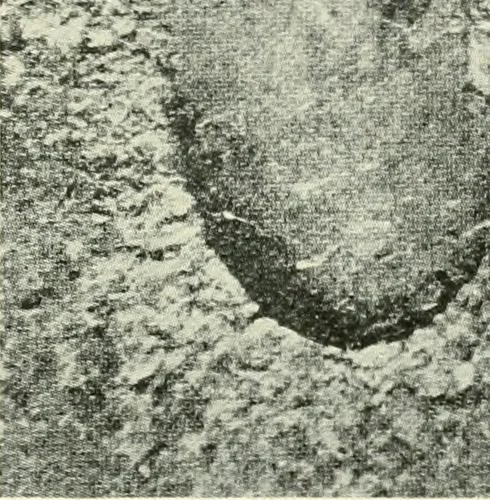 An illustration from X rays, an introduction to the study of Röntgen rays, 1914, leaf 66