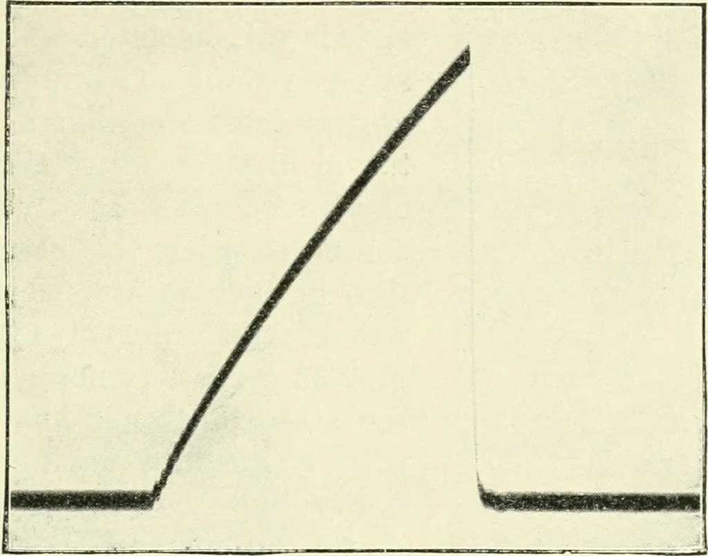 An illustration from X rays, an introduction to the study of Röntgen rays, 1914, leaf 80