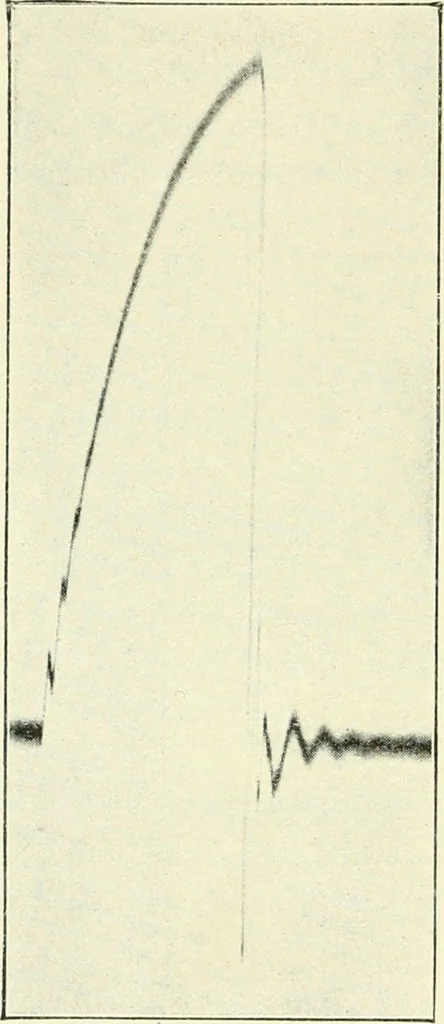 An illustration from X rays, an introduction to the study of Röntgen rays, 1914, leaf 81