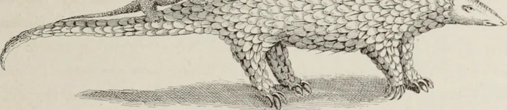 An illustration from XVIIme [i.e. dix-septième] siècle : lettres, sciences et arts, France, 1590-1700, 1882, leaf 94