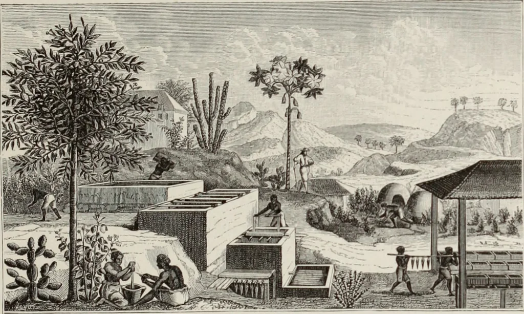An illustration from XVIIme [i.e. dix-septième] siècle : lettres, sciences et arts, France, 1590-1700, 1882, leaf 96