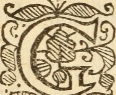 An illustration from XXXI select sermons, preached on special occasions .., 1656, leaf 219