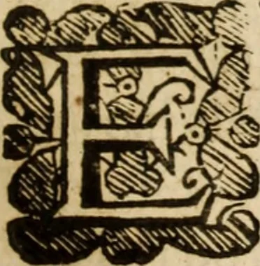 An illustration from XXXI select sermons, preached on special occasions .., 1656, leaf 502