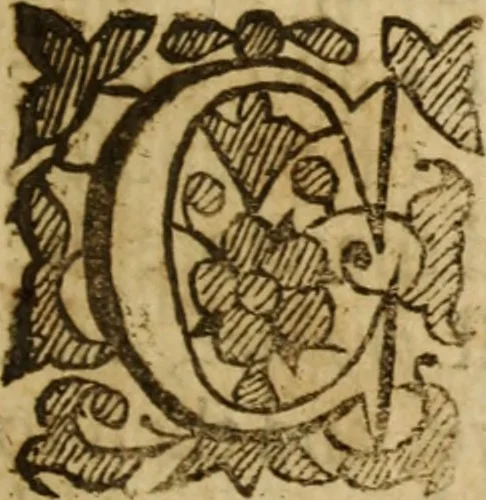 An illustration from XXXI select sermons, preached on special occasions .., 1656, leaf 696