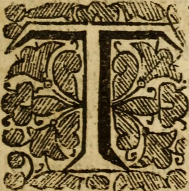 An illustration from XXXI select sermons, preached on special occasions .., 1656, leaf 740