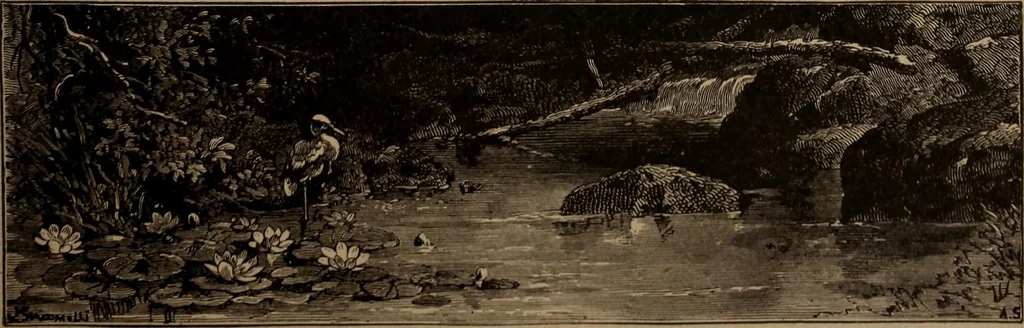 An illustration from Yachts and yachting : with over one hundred and ten illustrations, 1887, leaf 116