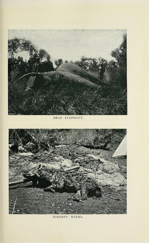 An illustration from A Yankee in pigmy land, 1905, leaf 101
