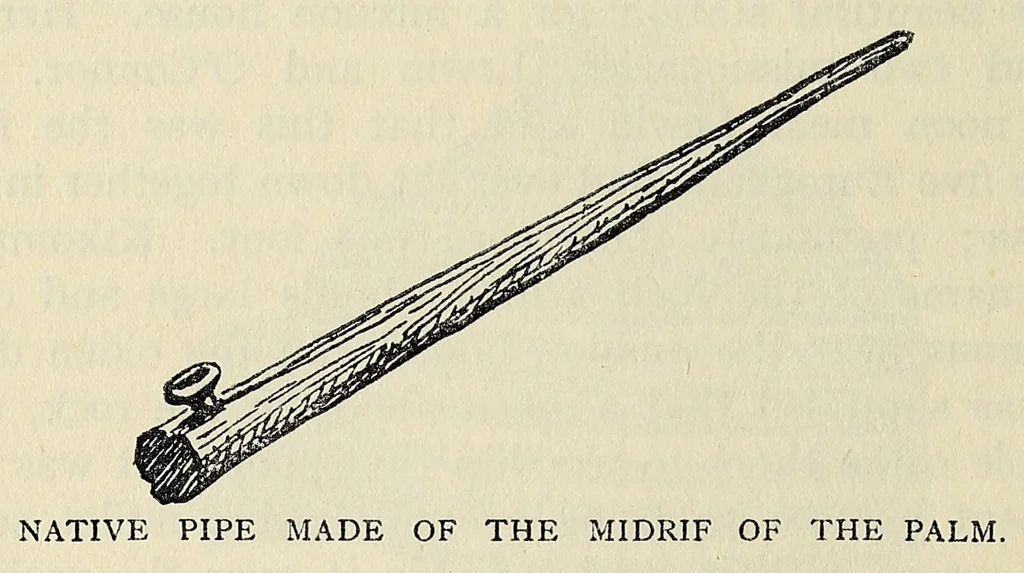 An illustration from A Yankee in pigmy land, 1905, leaf 200