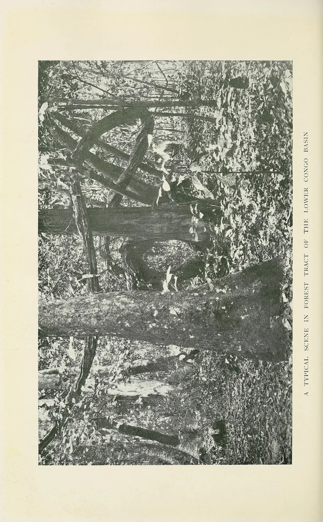 An illustration from A Yankee in pigmy land, 1905, leaf 372