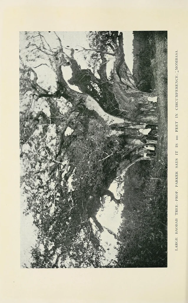 An illustration from A Yankee in pigmy land, 1905, leaf 42