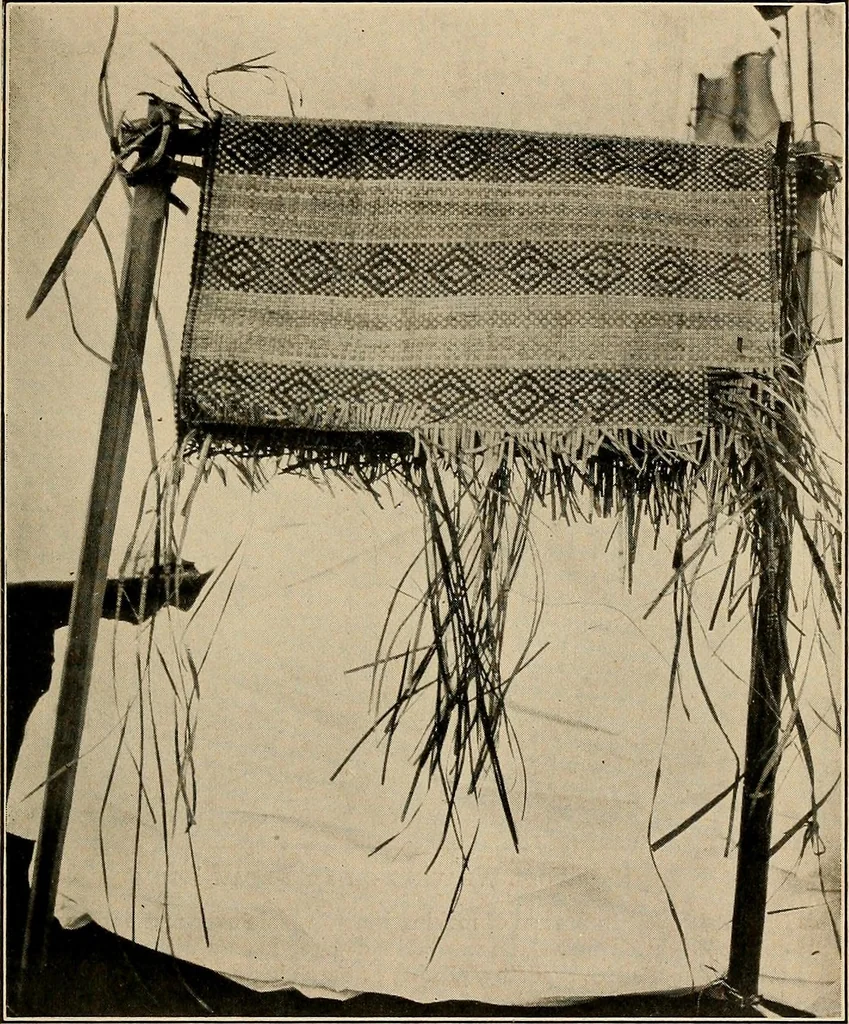 An illustration from Yarn and cloth making; an economic study; a college and normal schools text preliminary to fabric study, and a reference for teachers of industrial history and art in secondary and elementary schools, 1918, leaf 160