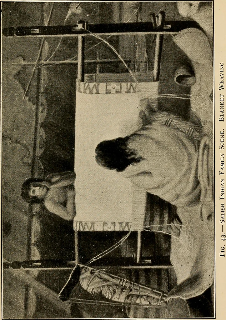 An illustration from Yarn and cloth making; an economic study; a college and normal schools text preliminary to fabric study, and a reference for teachers of industrial history and art in secondary and elementary schools, 1918, leaf 176