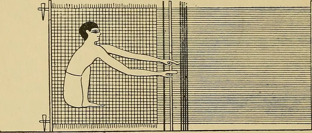 An illustration from Yarn and cloth making; an economic study; a college and normal schools text preliminary to fabric study, and a reference for teachers of industrial history and art in secondary and elementary schools, 1918, leaf 187