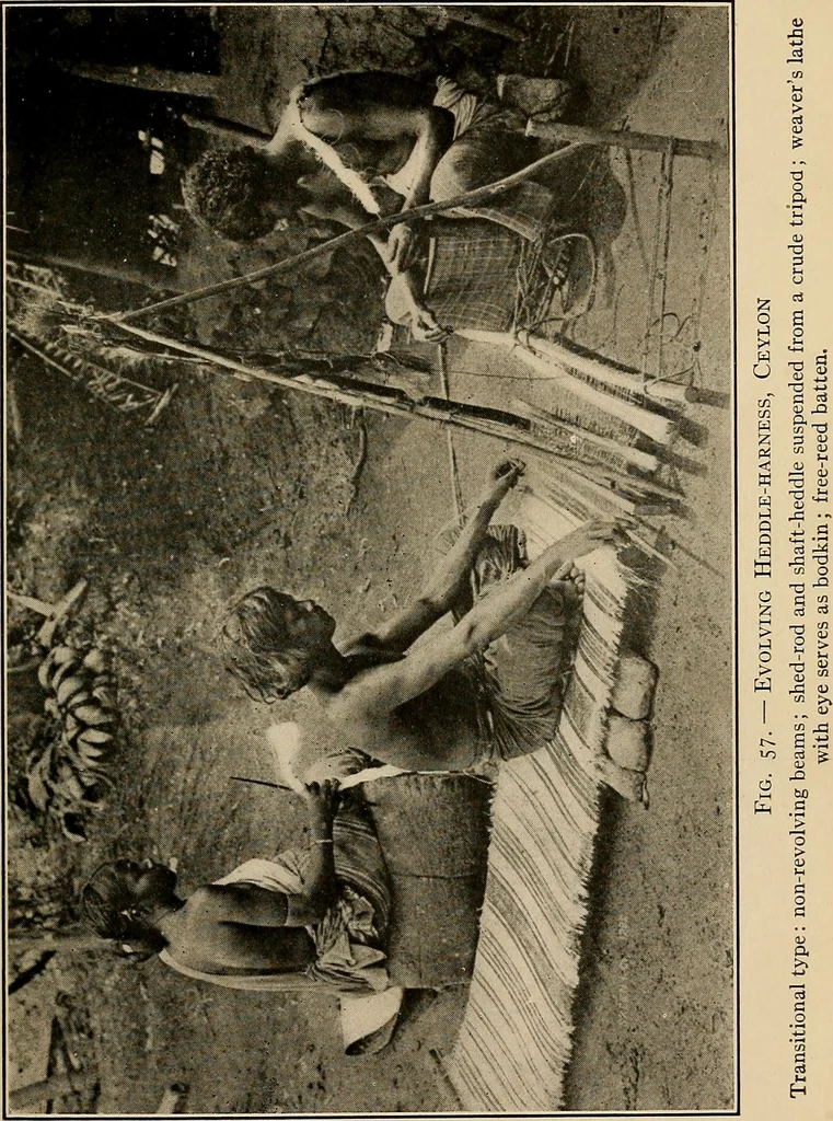 An illustration from Yarn and cloth making; an economic study; a college and normal schools text preliminary to fabric study, and a reference for teachers of industrial history and art in secondary and elementary schools, 1918, leaf 208
