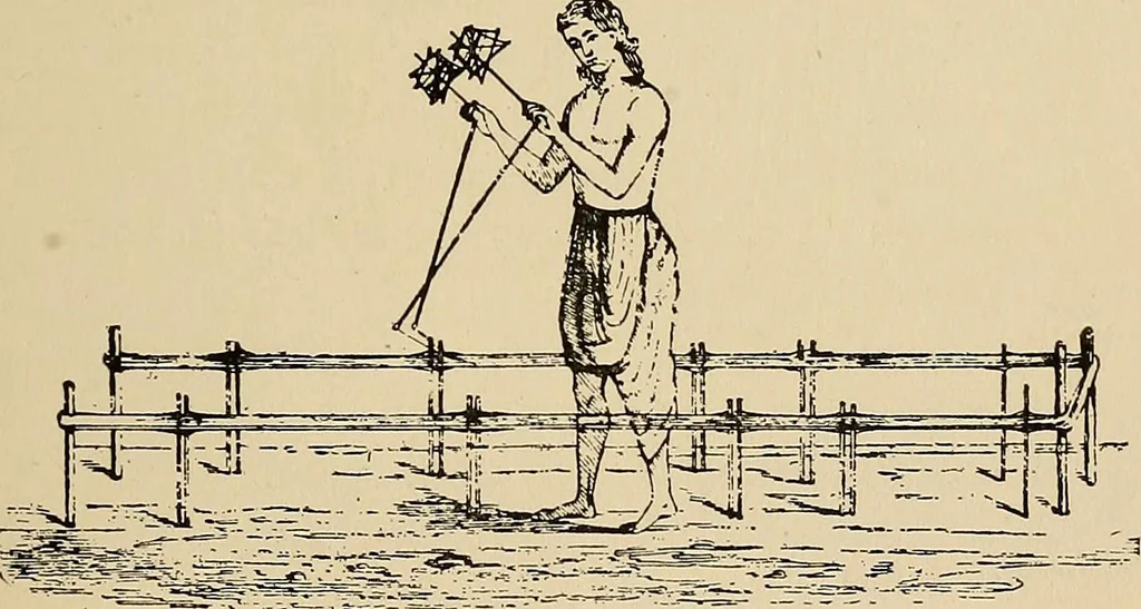 An illustration from Yarn and cloth making; an economic study; a college and normal schools text preliminary to fabric study, and a reference for teachers of industrial history and art in secondary and elementary schools, 1918, leaf 218