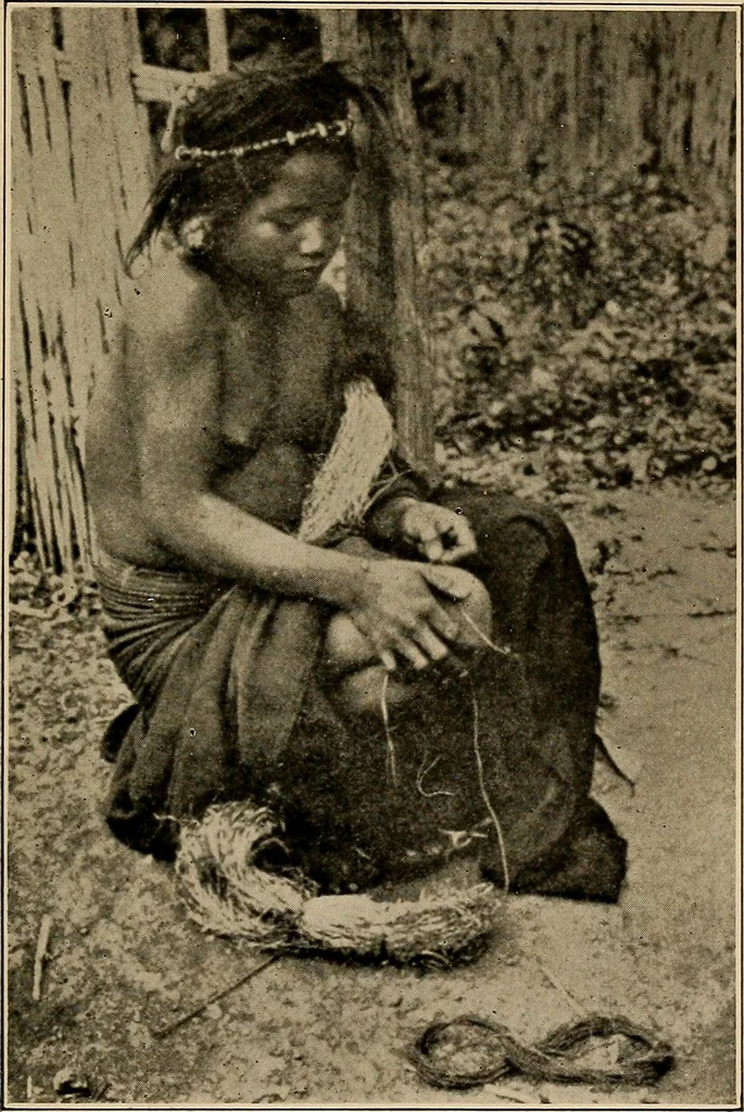 An illustration from Yarn and cloth making; an economic study; a college and normal schools text preliminary to fabric study, and a reference for teachers of industrial history and art in secondary and elementary schools, 1918, leaf 52