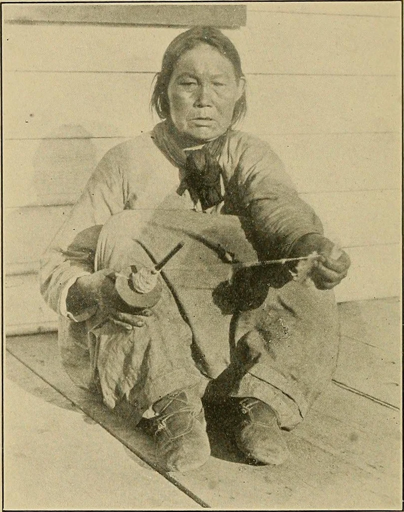 An illustration from Yarn and cloth making; an economic study; a college and normal schools text preliminary to fabric study, and a reference for teachers of industrial history and art in secondary and elementary schools, 1918, leaf 63
