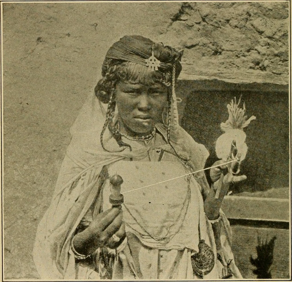 An illustration from Yarn and cloth making; an economic study; a college and normal schools text preliminary to fabric study, and a reference for teachers of industrial history and art in secondary and elementary schools, 1918, leaf 71