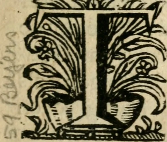 An illustration from Ydelheyd des werelds verciert met zinne-beelden, rym-dighten en zede-leeringen, 1720, leaf 10
