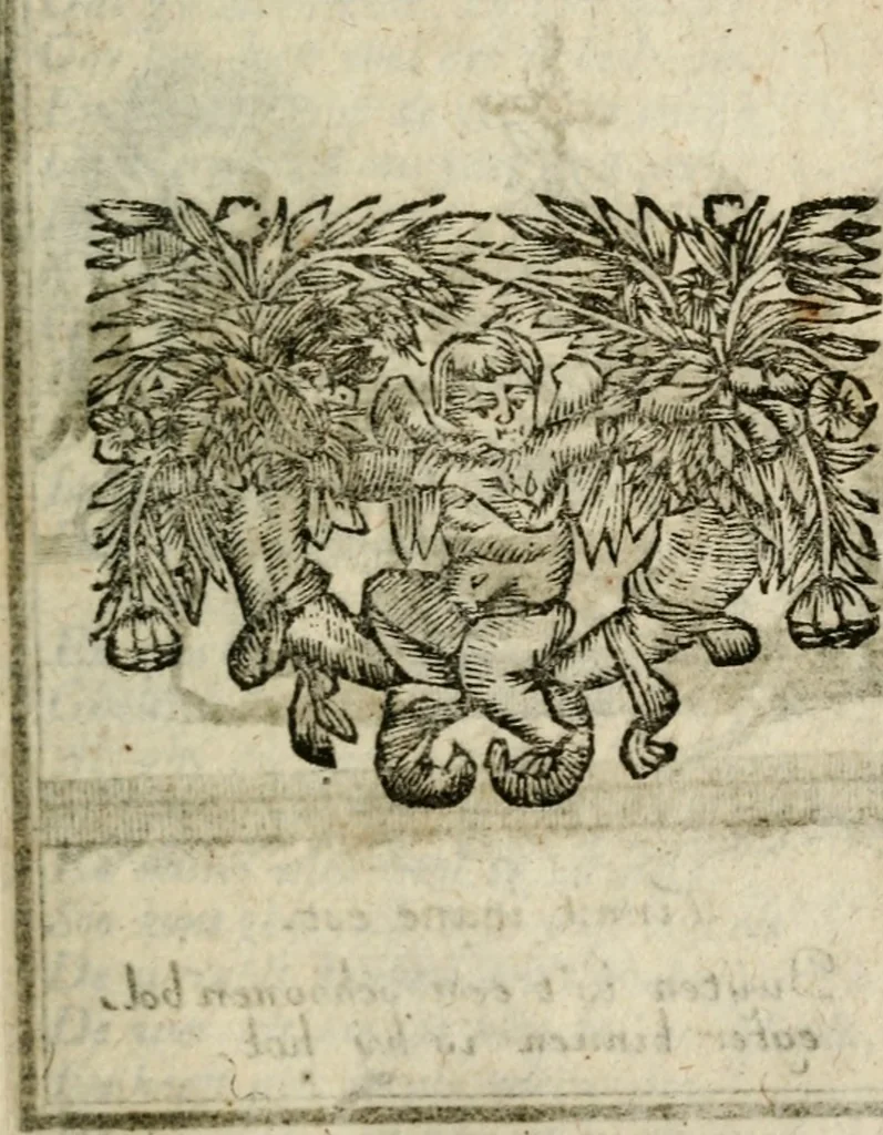 An illustration from Ydelheyd des werelds verciert met zinne-beelden, rym-dighten en zede-leeringen, 1720, leaf 136