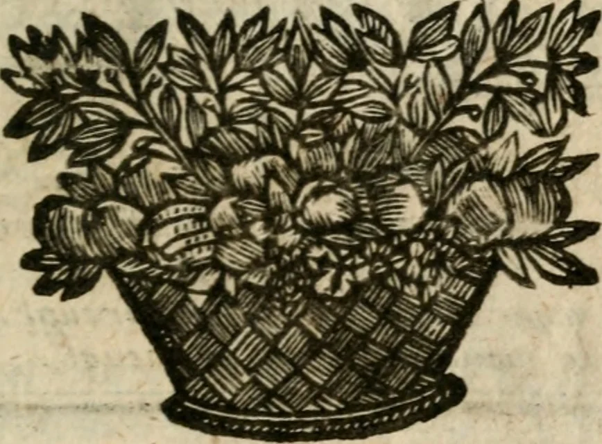 An illustration from Ydelheyd des werelds verciert met zinne-beelden, rym-dighten en zede-leeringen, 1720, leaf 192
