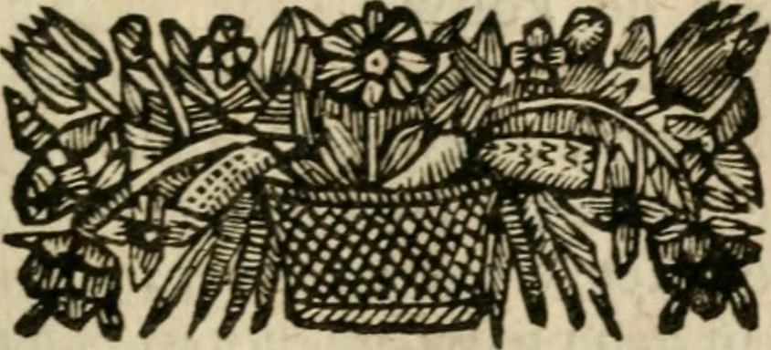 An illustration from Ydelheyd des werelds verciert met zinne-beelden, rym-dighten en zede-leeringen, 1720, leaf 206