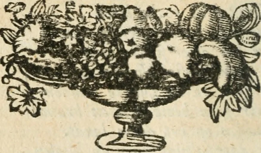 An illustration from Ydelheyd des werelds verciert met zinne-beelden, rym-dighten en zede-leeringen, 1720, leaf 43
