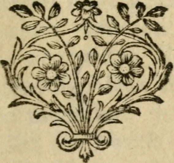 An illustration from Ydelheyd des werelds verciert met zinne-beelden, rym-dighten en zede-leeringen, 1720, leaf 8