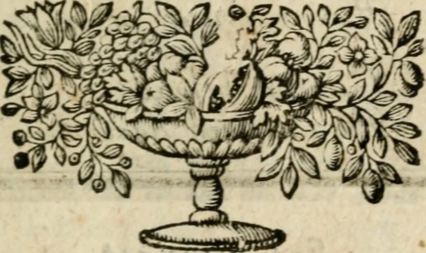 An illustration from Ydelheyd des werelds verciert met zinne-beelden, rym-dighten en zede-leeringen, 1720, leaf 86