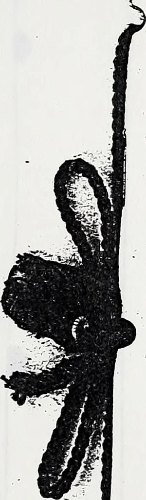 An illustration from Year book, 1914, leaf 4