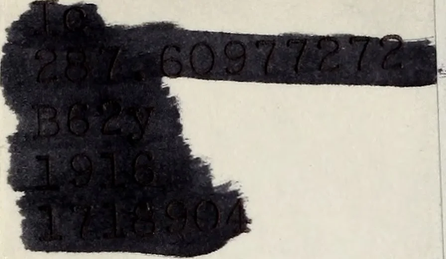 An illustration from Year book, 1916, leaf 1