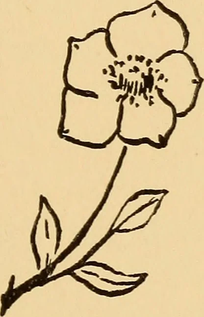 An illustration from A year book for primary grades, based on Froebel's mother plays, 1908, leaf 214