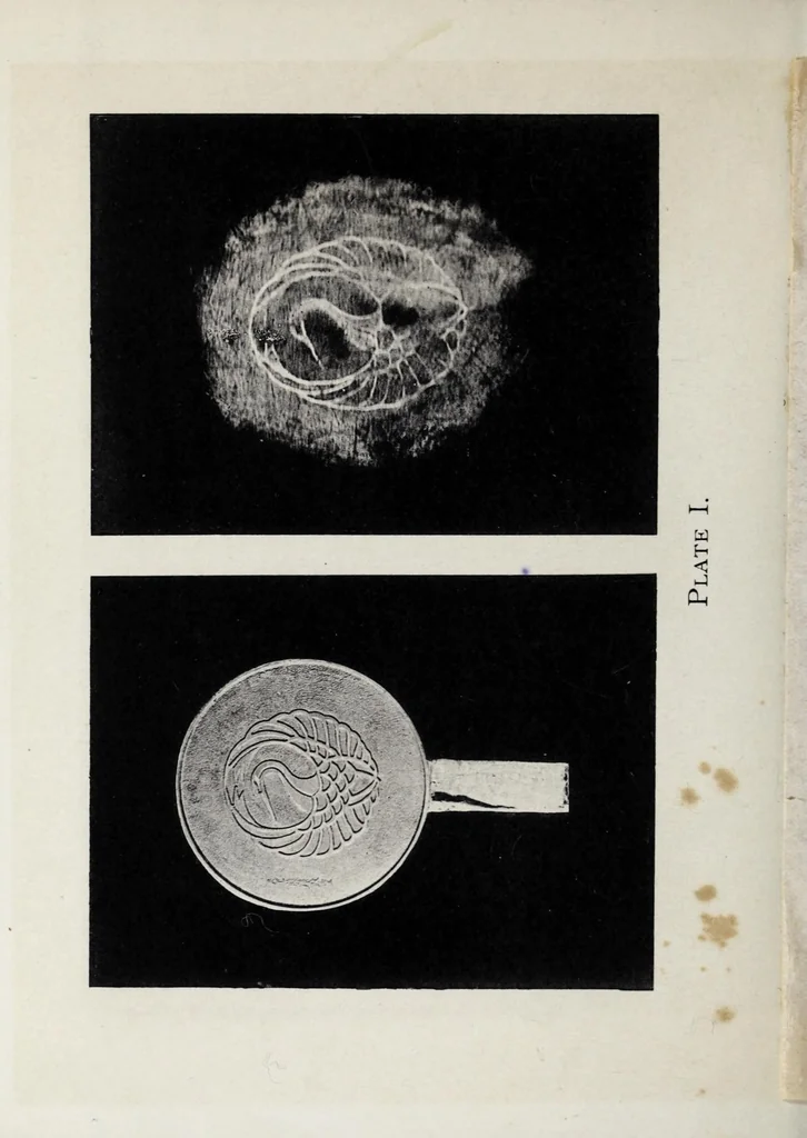 An illustration from Ye magick mirrour of old Japan, 1893, leaf 18