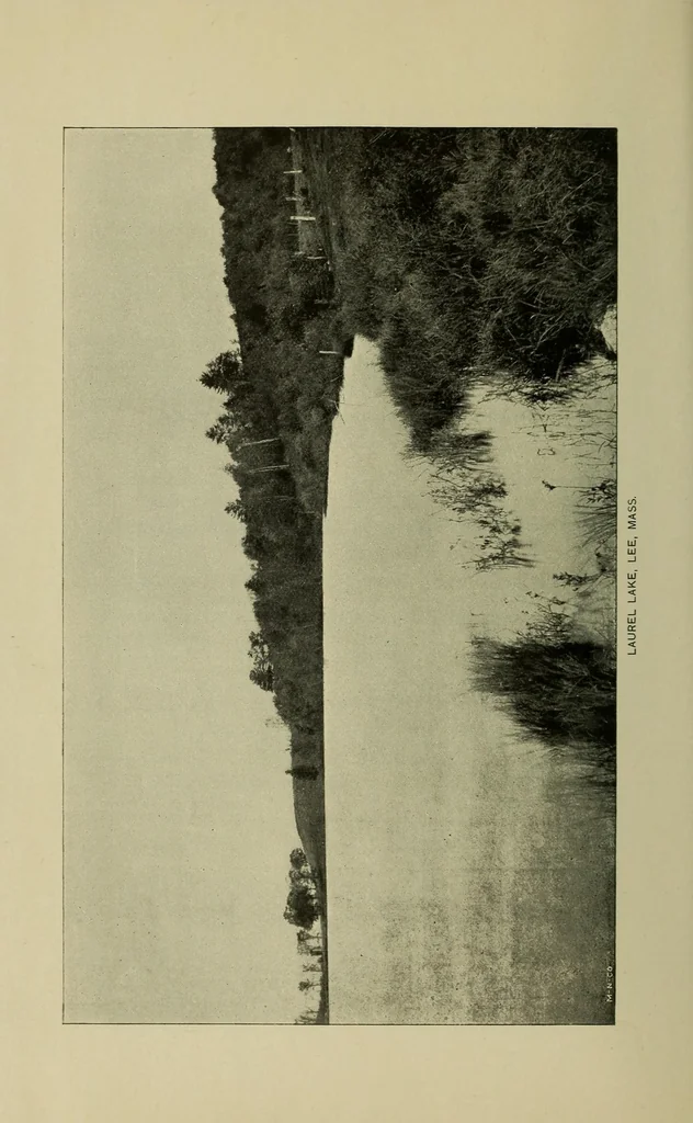 An illustration from Ye olde Berkshire Hills, 1891, leaf 80