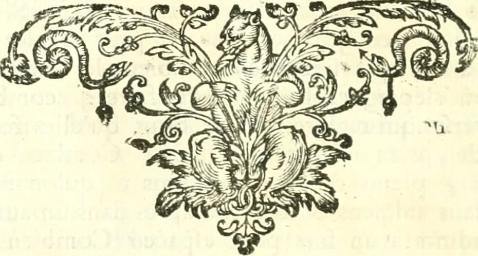 An illustration from Essai philosophique concernant l'entendement humain : ou l'on montre quelle est l'etendue de nos connoissances certaines, et la maniere dont nous y parvenons, 1700, leaf 723